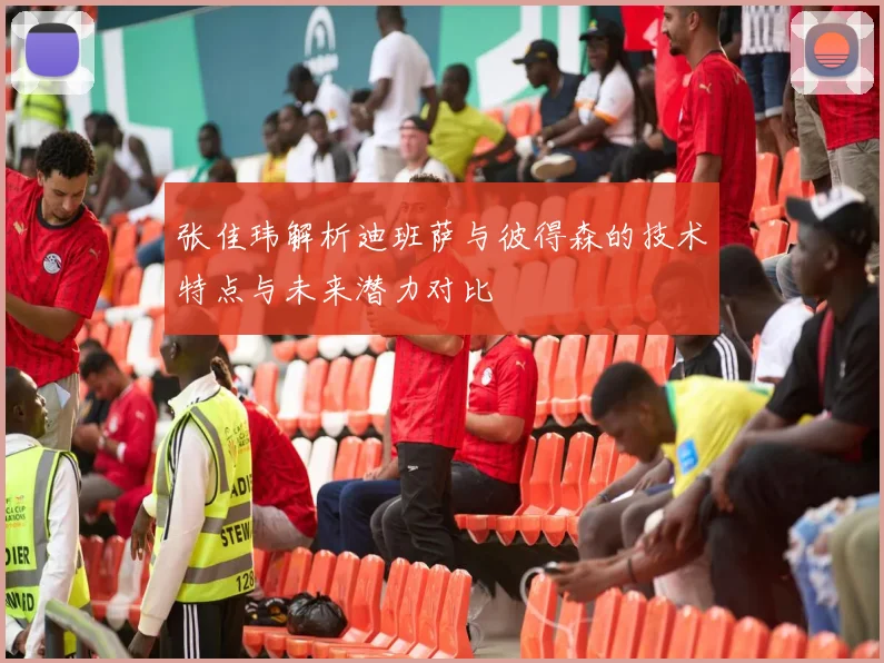 张佳玮解析迪班萨与彼得森的技术特点与未来潜力对比